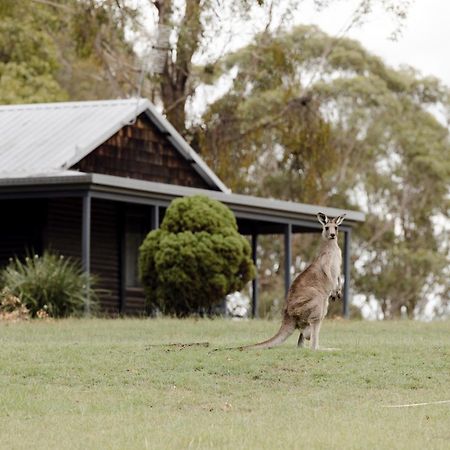 Palmers Lane Estate Hunter Valley Pokolbin Εξωτερικό φωτογραφία