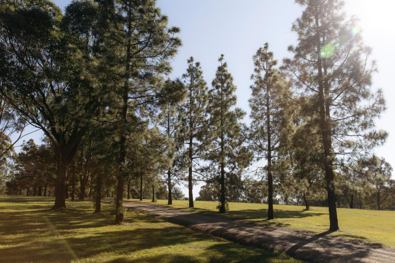 Palmers Lane Estate Hunter Valley Pokolbin Εξωτερικό φωτογραφία